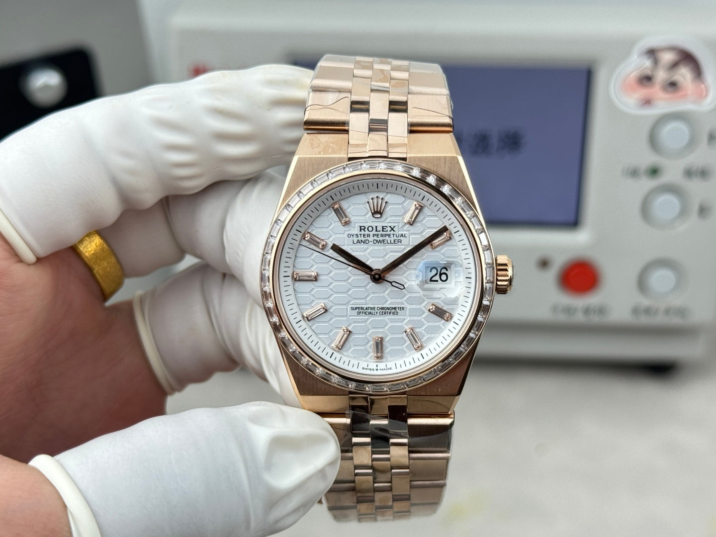 Rolex Land-Dweller Gold White Motif Dail